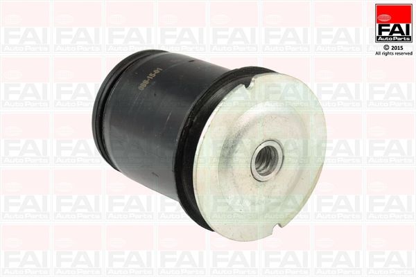 FAI AUTOPARTS Kinnitus,sillatala SS8041